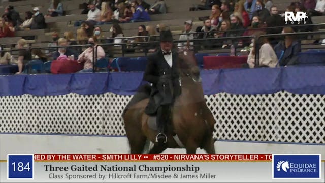 2020 AR - Class 184 Three Gaited Nati...