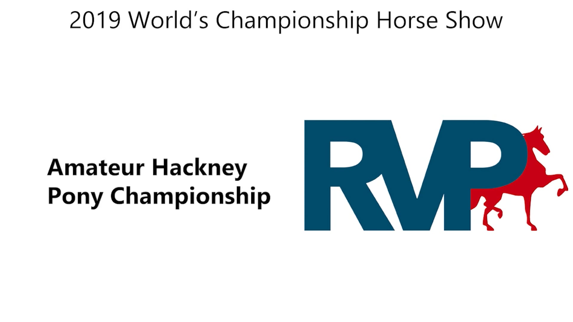WCHS19 - Class 204 - Amateur Hackney Pony Championship