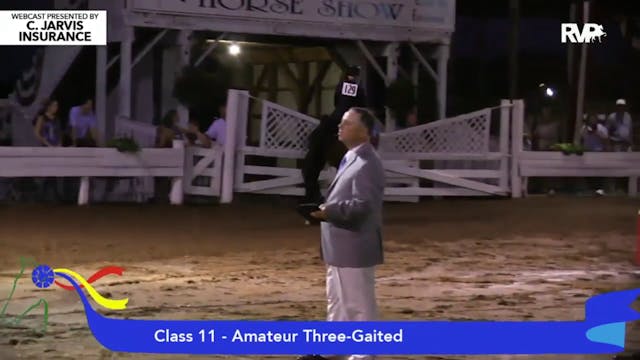 2015 SHS - Class 11 Amateur Three Gai...