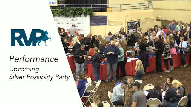 MGN16 - Silver Possibility Party