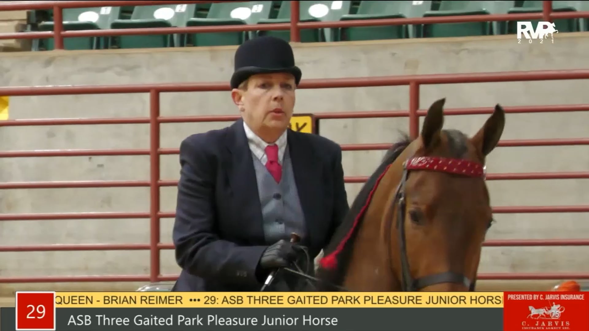 PA21 - Class 29 - ASB Three Gaited Park Pleasure Junior Horse