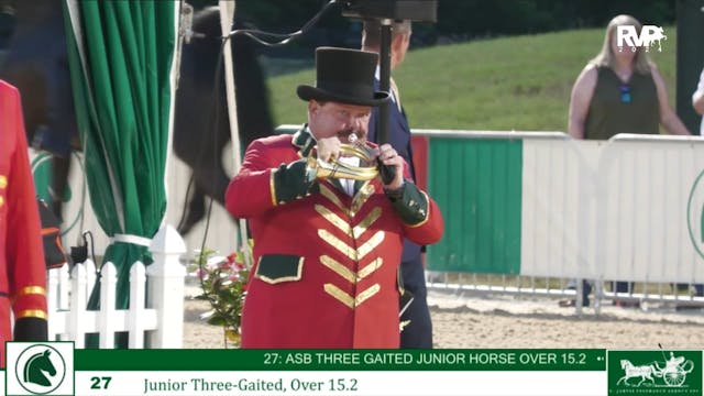 LJL24 - Class 27 - Jr Three Gaited