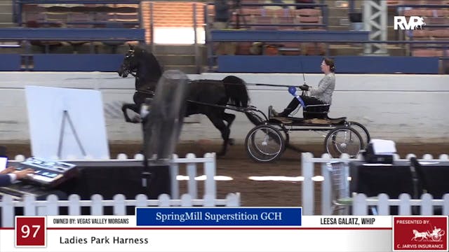 2020 JMHS - Class 97 Ladies Park Harness