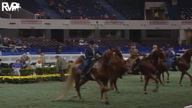 2004 World's Championship Horse Show ...