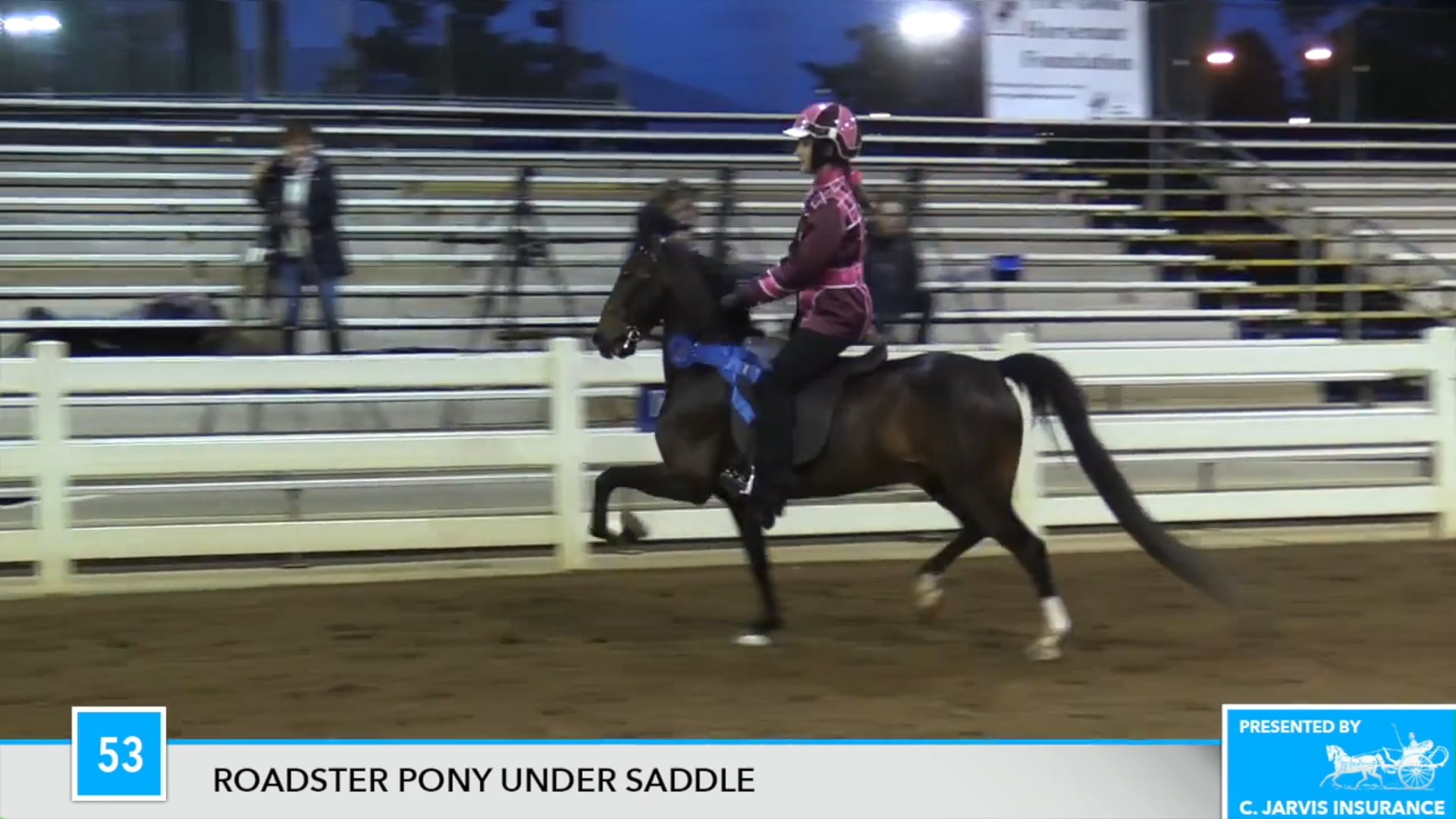 DC17 - Extremely Intimidating - Under Saddle