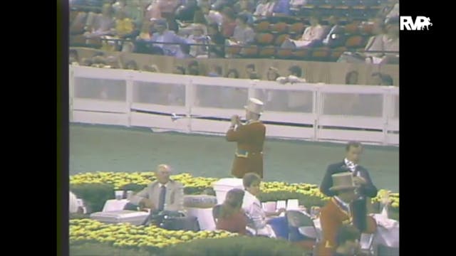 1988 WCHS Class 74 Five Gaited Mare S...