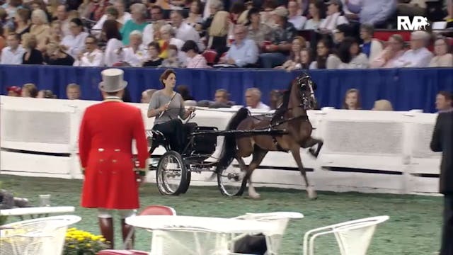 2012 WCHS - Class 153 Harness Pony St...