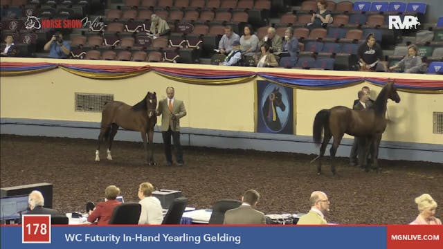 2015 MGN - Class 178 WC Futurity In-H...