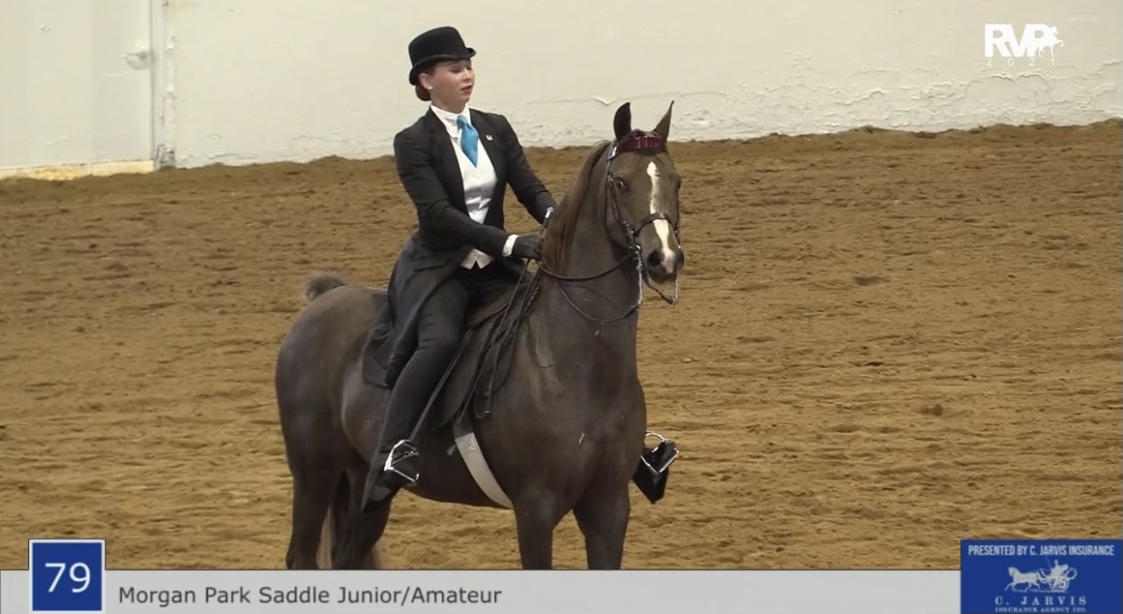 BB21 - Class 79 - Morgan Park Saddle Junior-Amateur