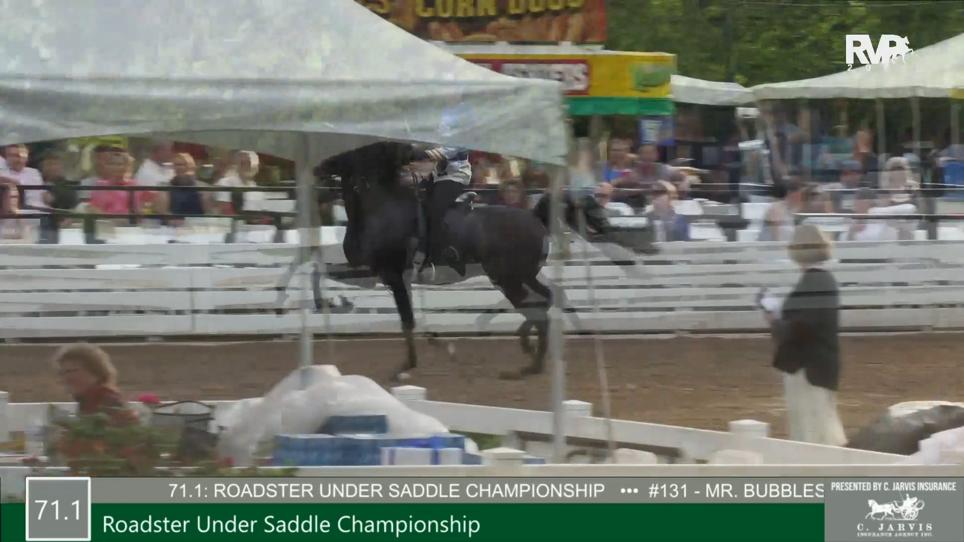 RC21 - Class 71.1 - Roadster Under Saddle Championship