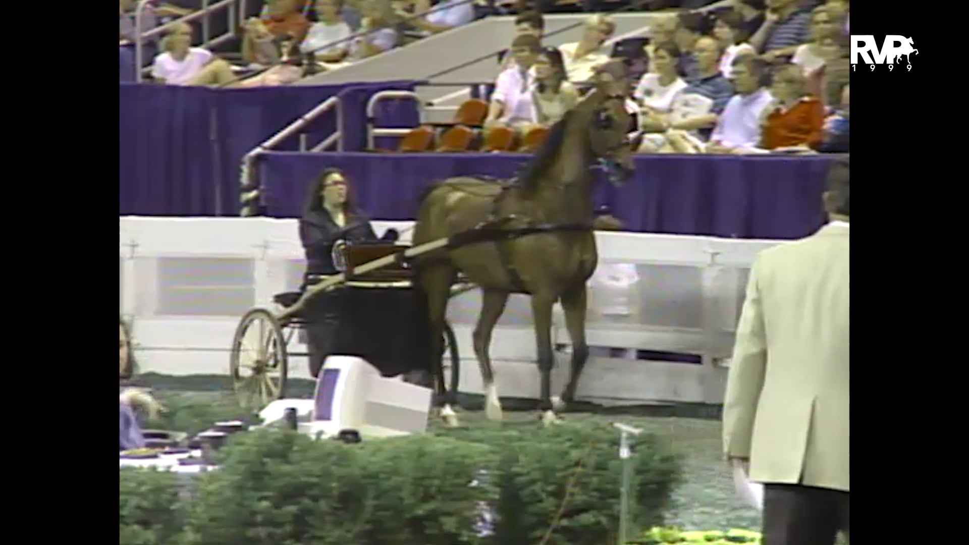 1999 WCHS - Class 172 ASB Show Pleasure Driving Junior Exhibitor 17 & Under Championship