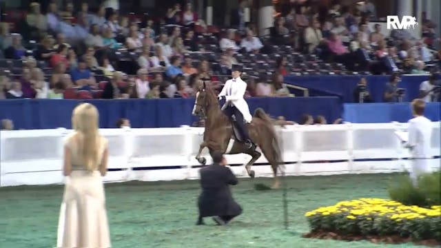 2012 WCHS - Class 145 Junior Exhibito...