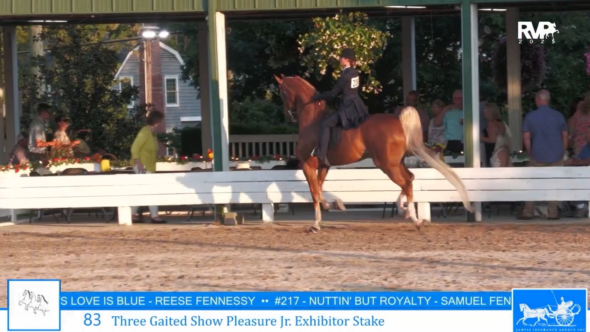 SSC25 - Class 83 - Three Gaited Show Pleasure Jr Exhibitor Stake