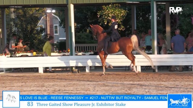 SSC25 - Class 83 - Three Gaited Show ...
