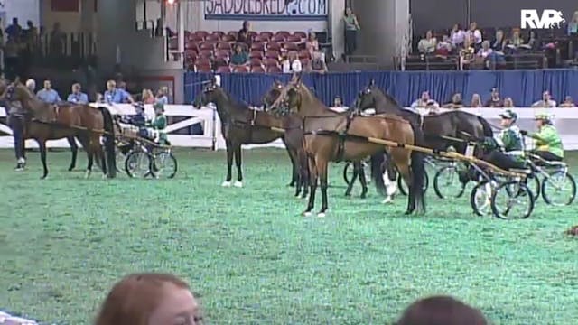 2010 World's Championship Horse Show ...