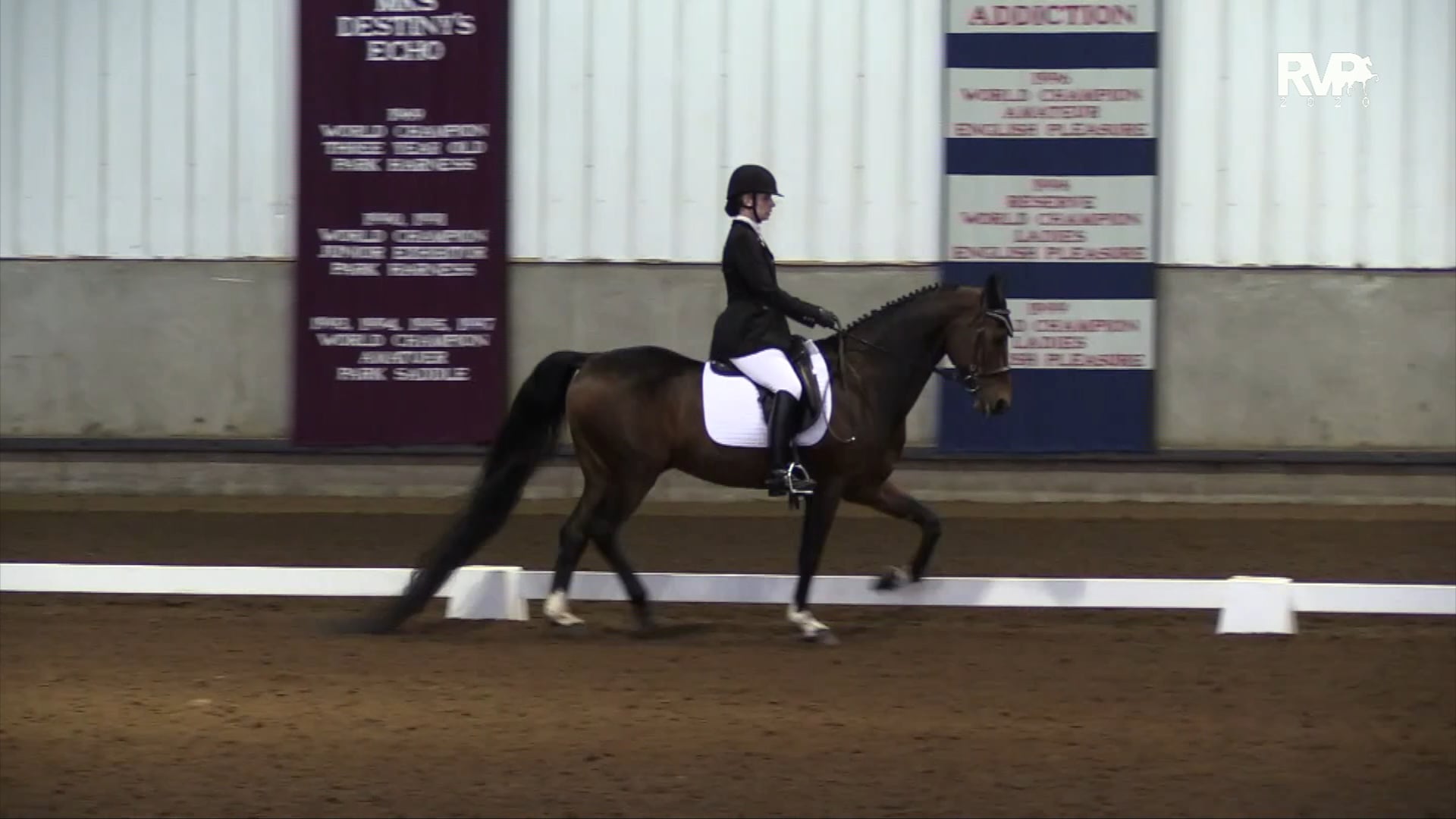 2020 MGN - Class 523 GN Dressage First Level Test 3 AmateurJunior 
