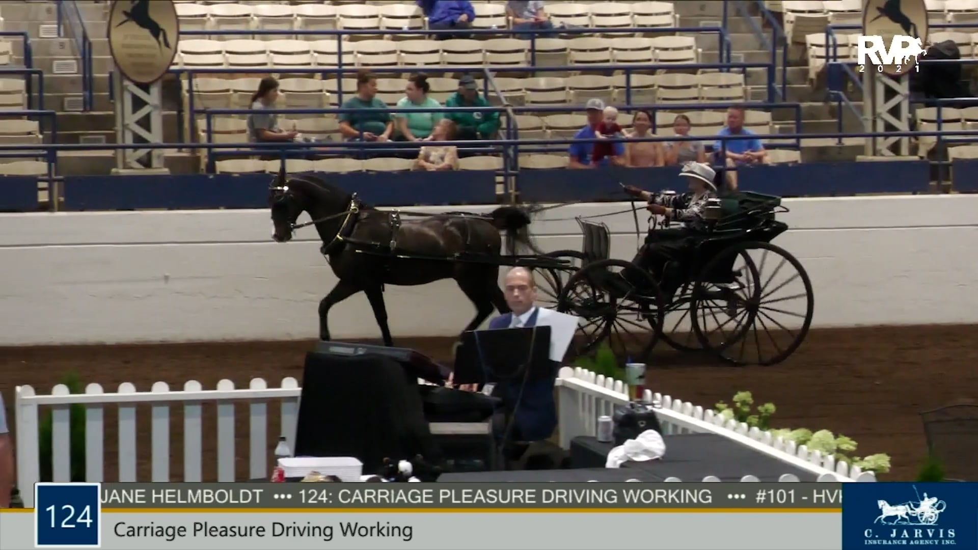 MJ21 - Class 124 - Carriage Pleasure Driving Working