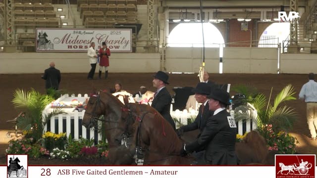 MW25 - Class 28 - ASB Five Gaited Gen...