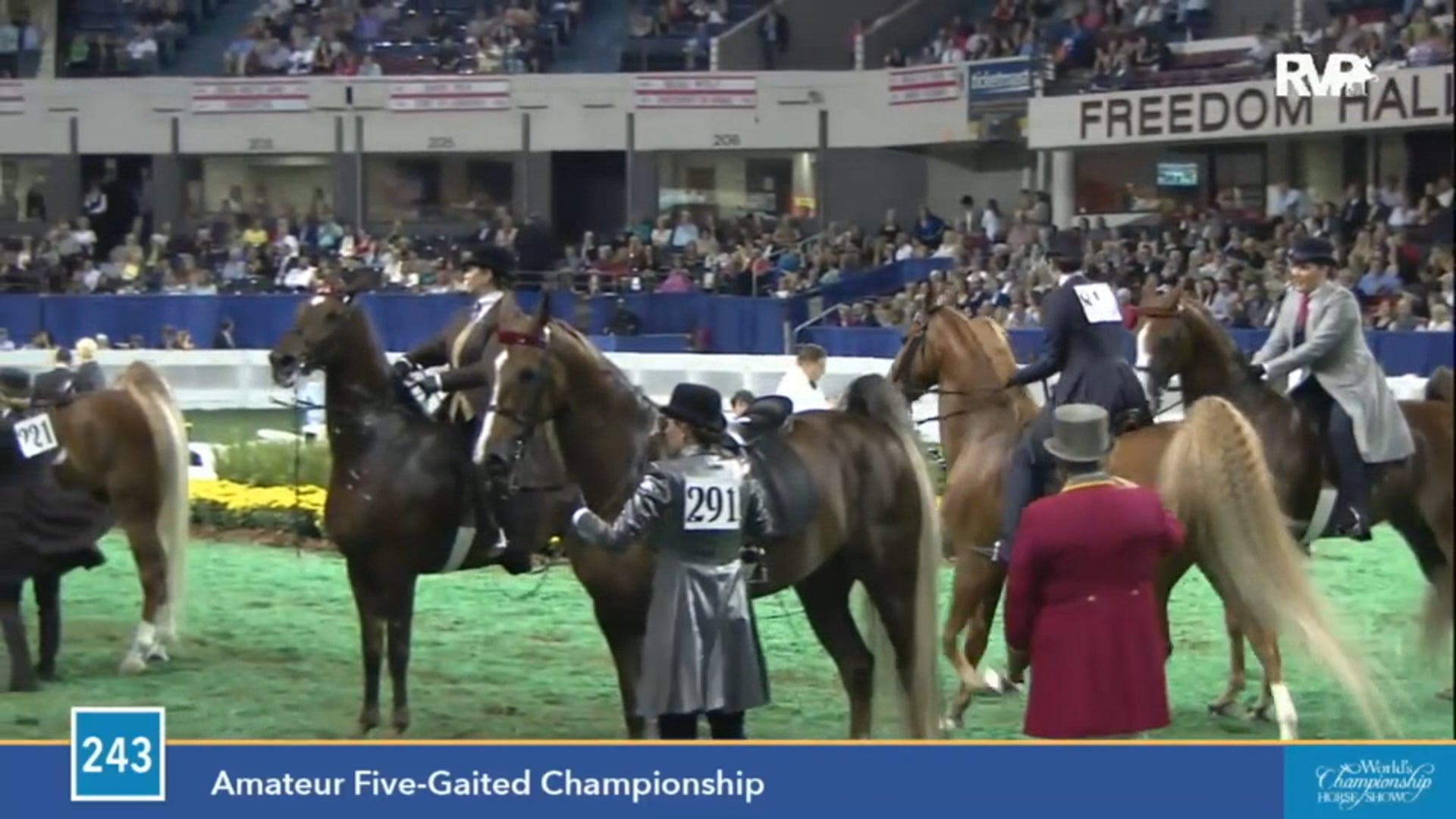 2015 WCHS - Class 243 Amateur Five Gaited Championship