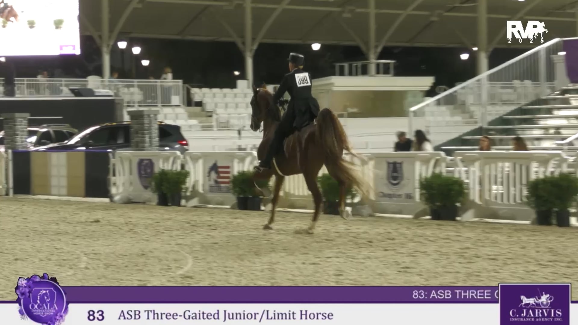 OI25 - Class 83 - ASB Three Gaited Junior:Limit Horse