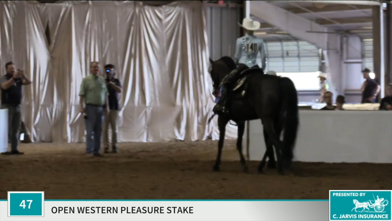 Class 47 - Magenta's Mad Moonshire CH