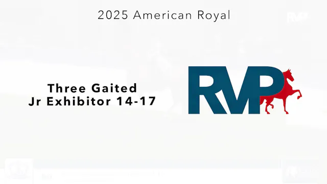 KC25 - Class 90 - Three Gaited Jr Exh...