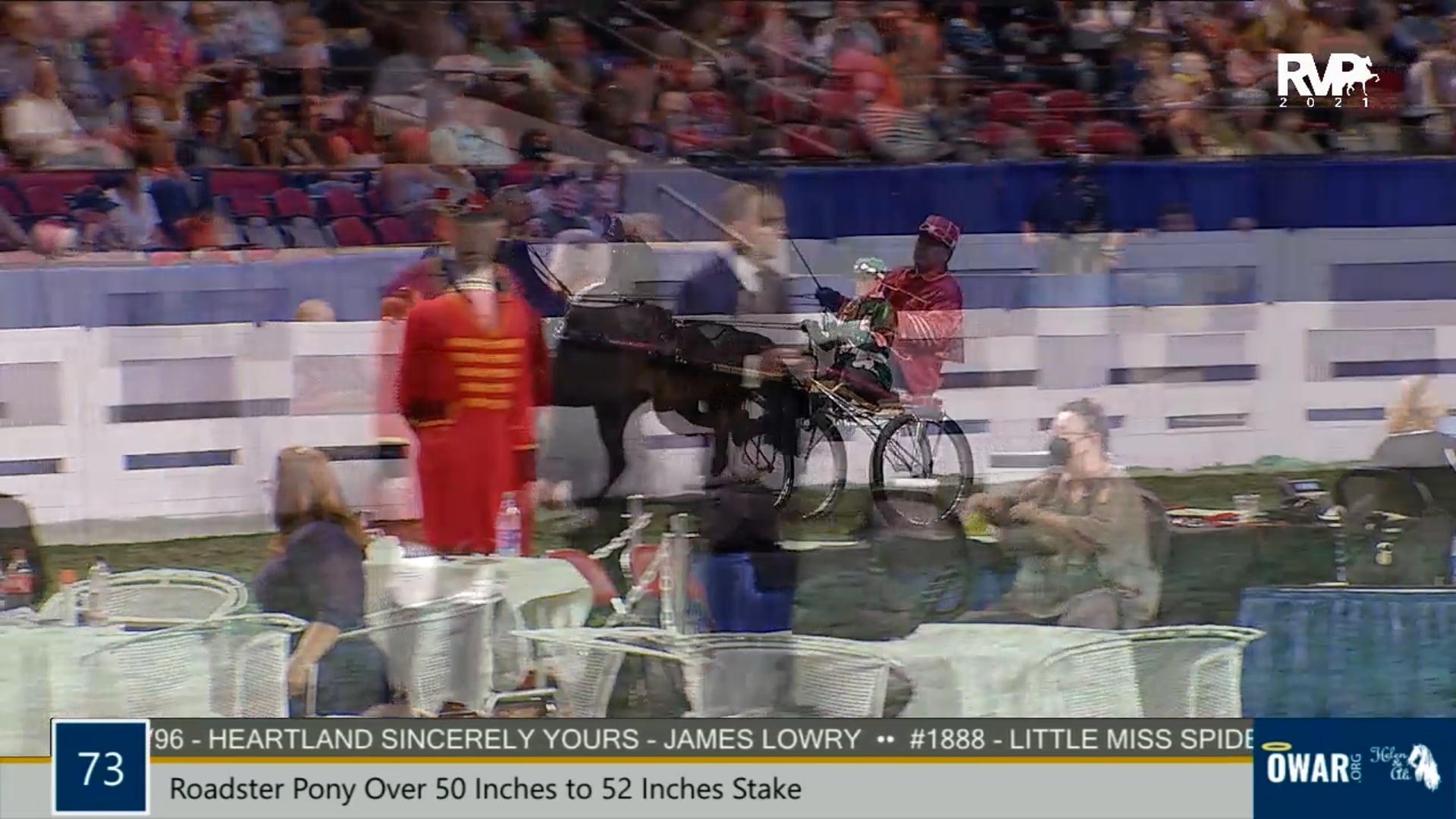 WCHS21 - Class 73 - Roadster Pony Over 50 Inches to 52 Inches Stake