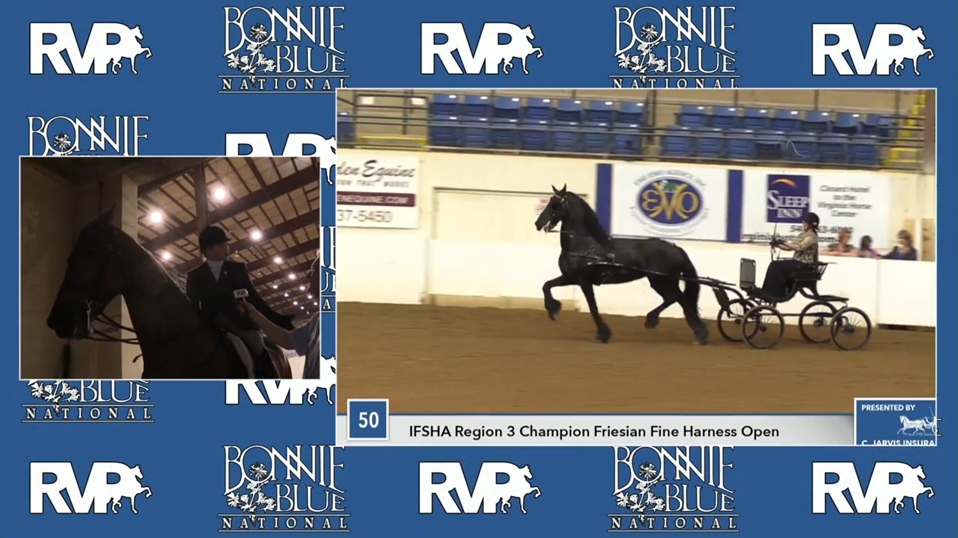 BB17 - CH Harlem's Sweet Success - Class 49  