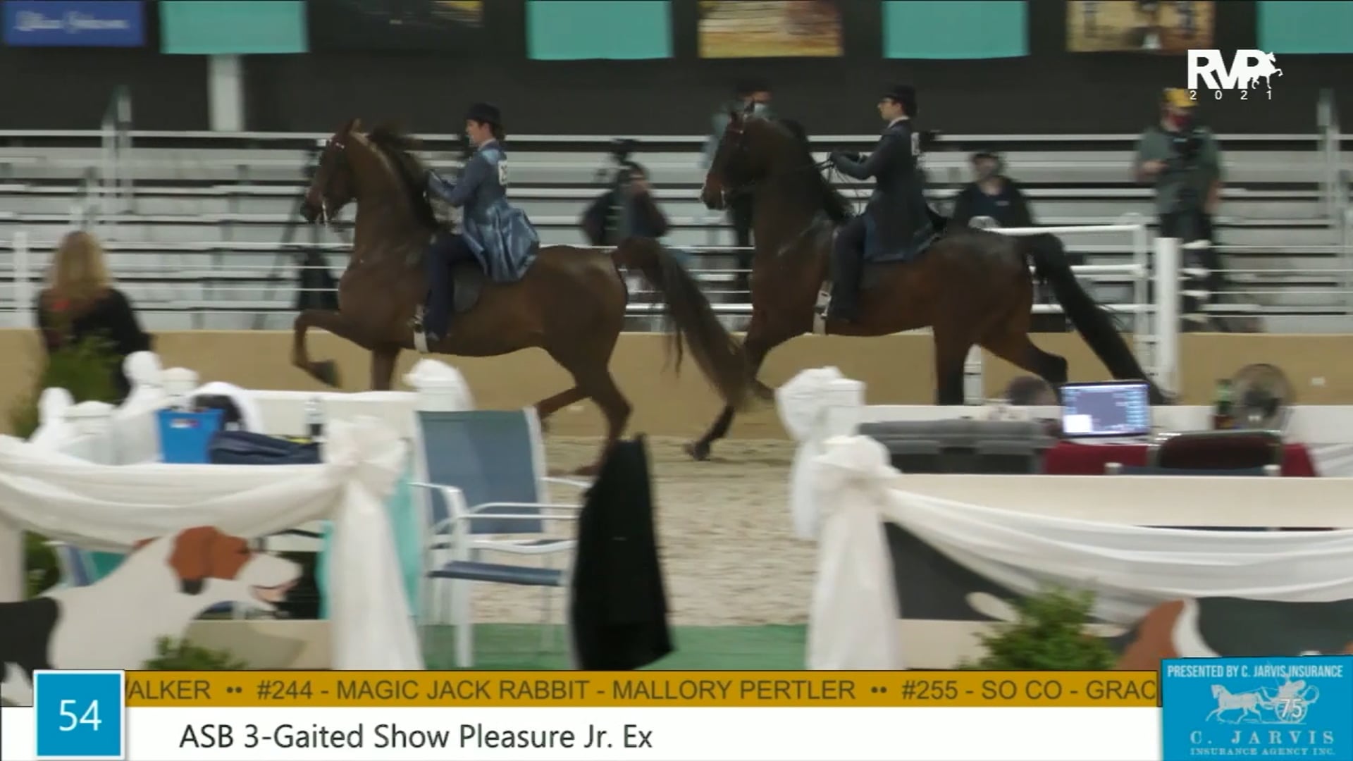 BS21 - Class 54 - ASB Three Gaited Show Pleasure Junior Exhibitor