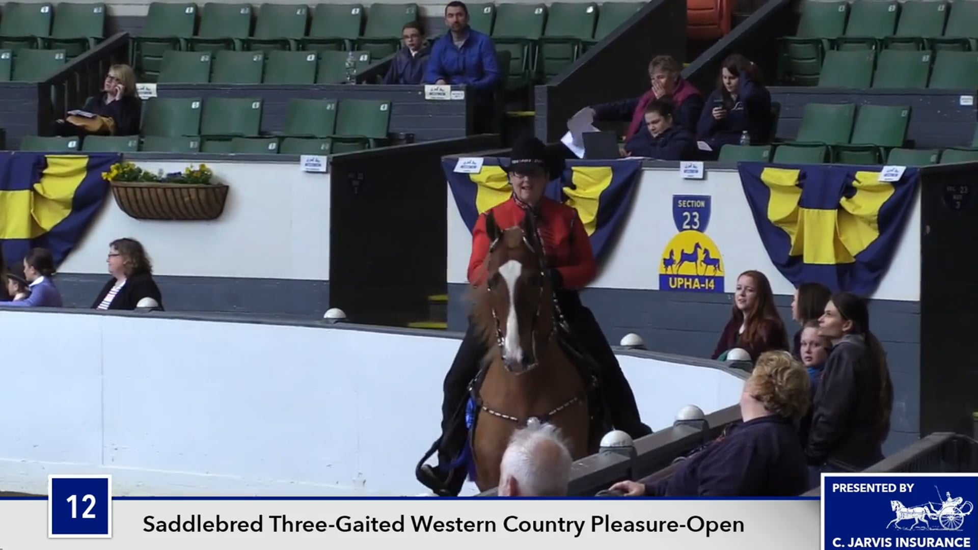 UPHACh14 17 - CH Charming In Blue - Class 12