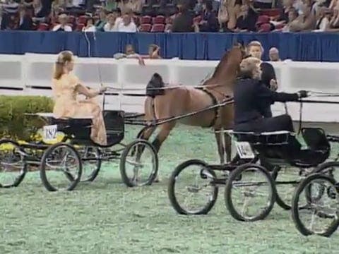 2008 WCHS Class 108 Ladies Amateur Ha...