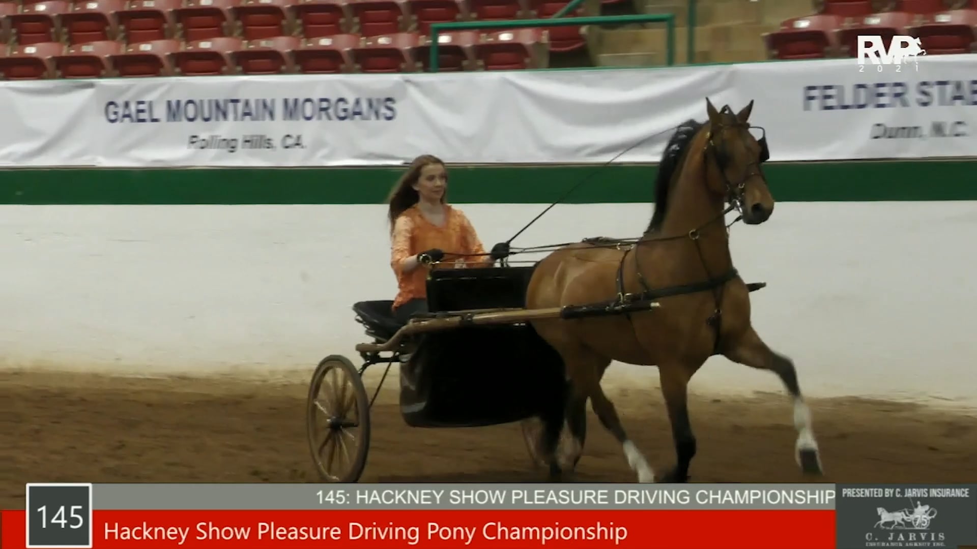 SS21 - Class 145 - Hackney Show Pleasure Driving Pony Championship