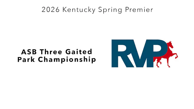 KYSP26 - Class 80 - ASB Three Gaited ...