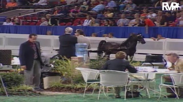 2004 World's Championship Horse Show ...