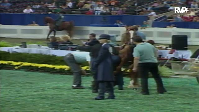 2000 WCHS Class 213 ASB Three Gaited ...