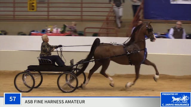 ProAm19 - Class 57 - CH HS Dignitary