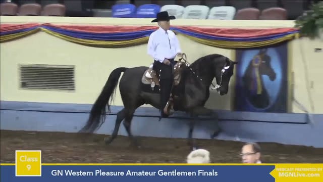 2015 MGN - Class 9 GN Western Pleasur...