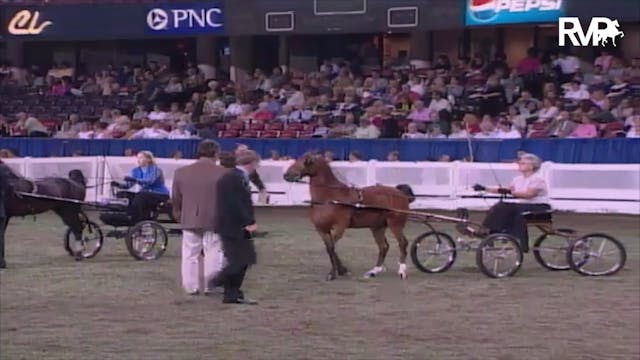 2003 WCHS Class 108 Amateur Ladies Ha...