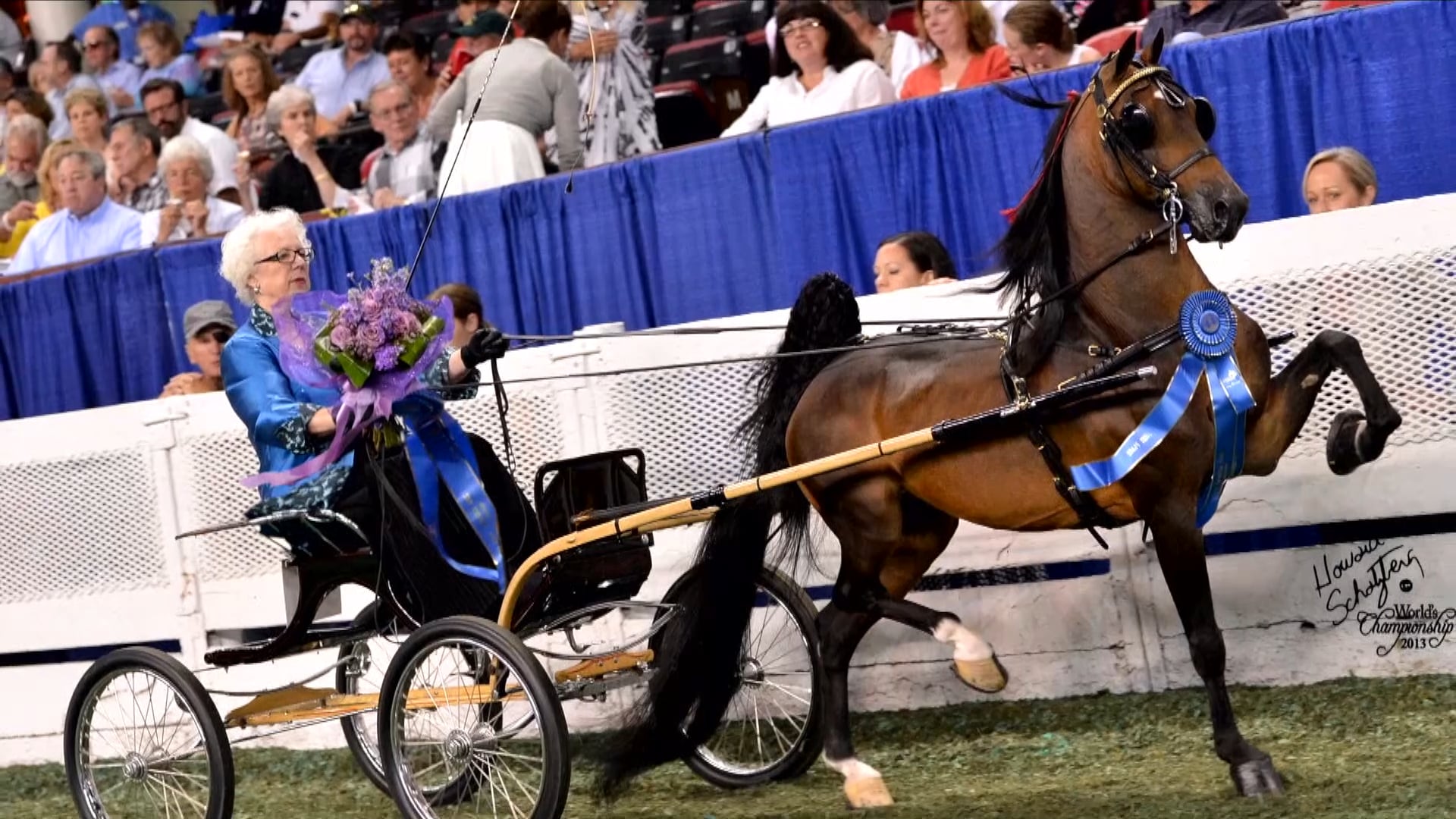 Sandra Surber - AHHS Gwen Stableford 
Lifetime Achievement Award