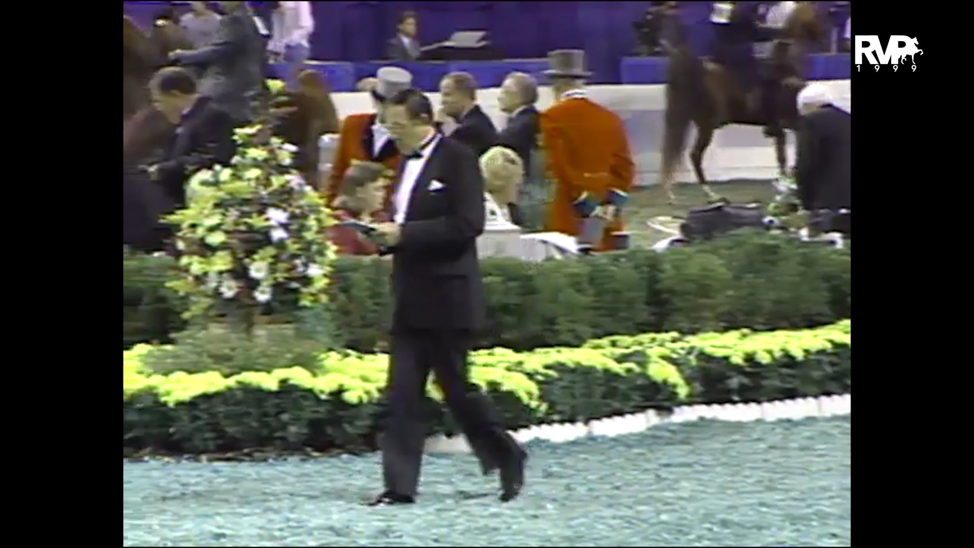 1999 WCHS - Class 97 Amateur Three Gaited Gentlemen’s Stake