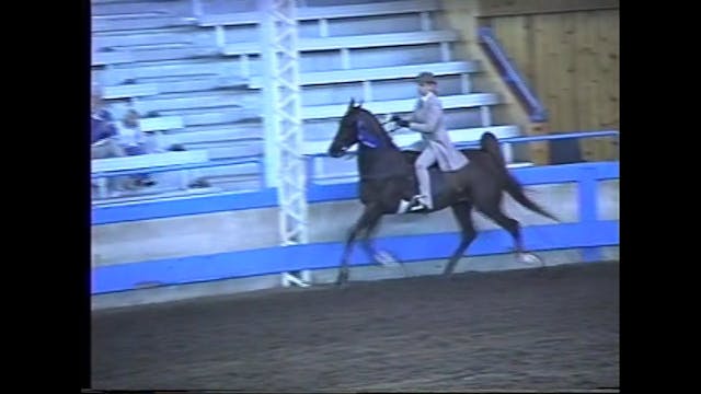 Des Moines Spring Horse Show 1995 - J...
