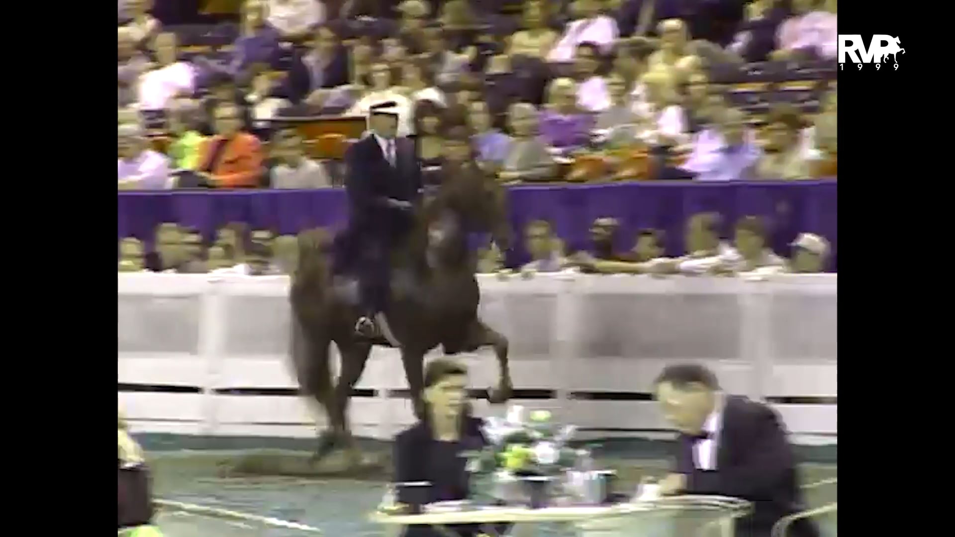 1999 WCHS - Class 163 Three Year Old Five Gaited Mare Stake