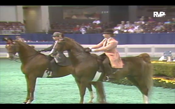 1992 WCHS Class 65 ASB Junior Exhibit...