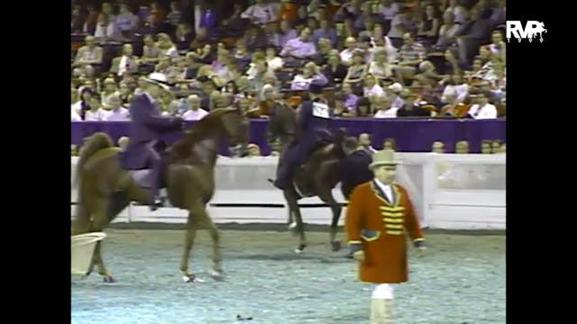 1999 WCHS - Class 151 Five Gaited Gel...