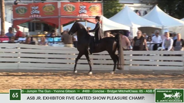 2017 RC - Class 65 ASB Junior Exhibit...