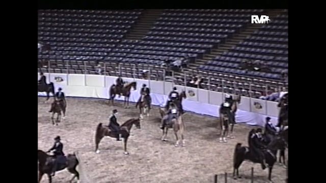 1997 American Royal - UPHA 5 Gaited 3...