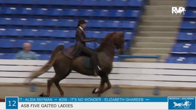 SSSF23 - Class 12 - ASB Five Gaited L...