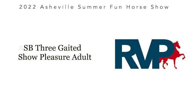 ASF22 - Class 22 - ASB Three Gaited S...