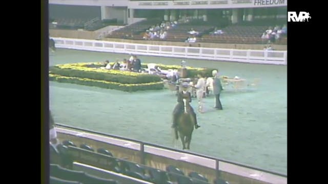 1988 WCHS Class 76 Equitation UPHA Ch...