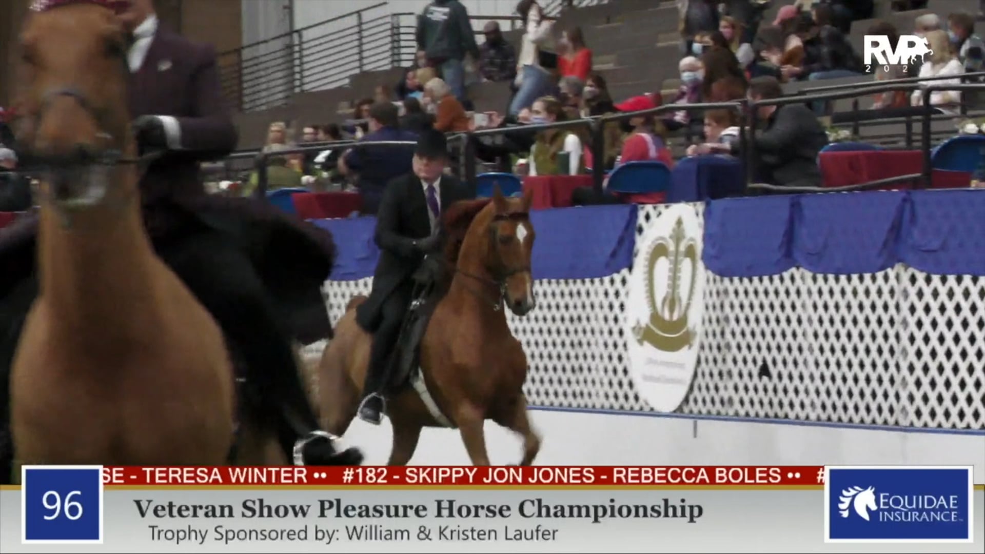 2020 AR - Class 96 Veteran Show Pleasure Horse
Championship
